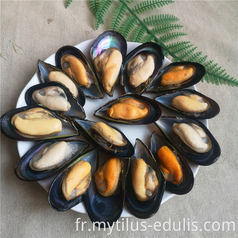 moules vertes cuites fraîches surgelées de haute qualité